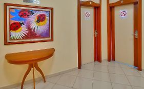 Hotel Niski Cvet